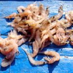 車にオキアミ　悪臭をDIYで完全消去できるかも！！